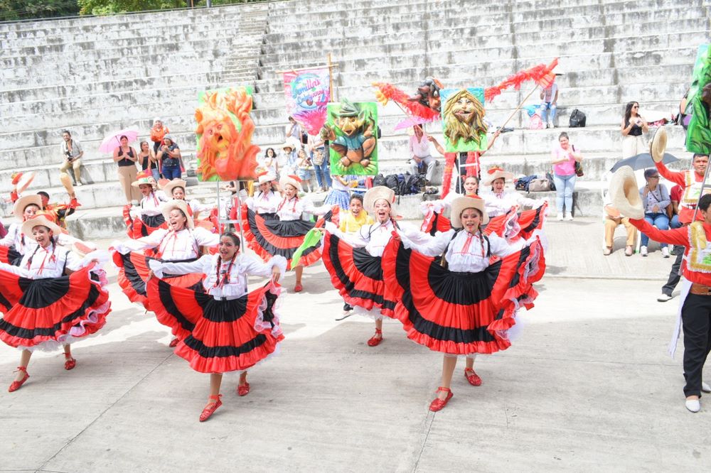 Grupos de Danzas y Comparsas seleccionados para Desfiles del Festival del Bambuco 2024