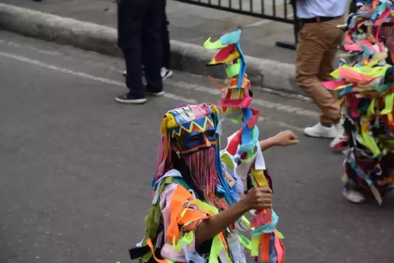 Desfile de Bienvenida (18)